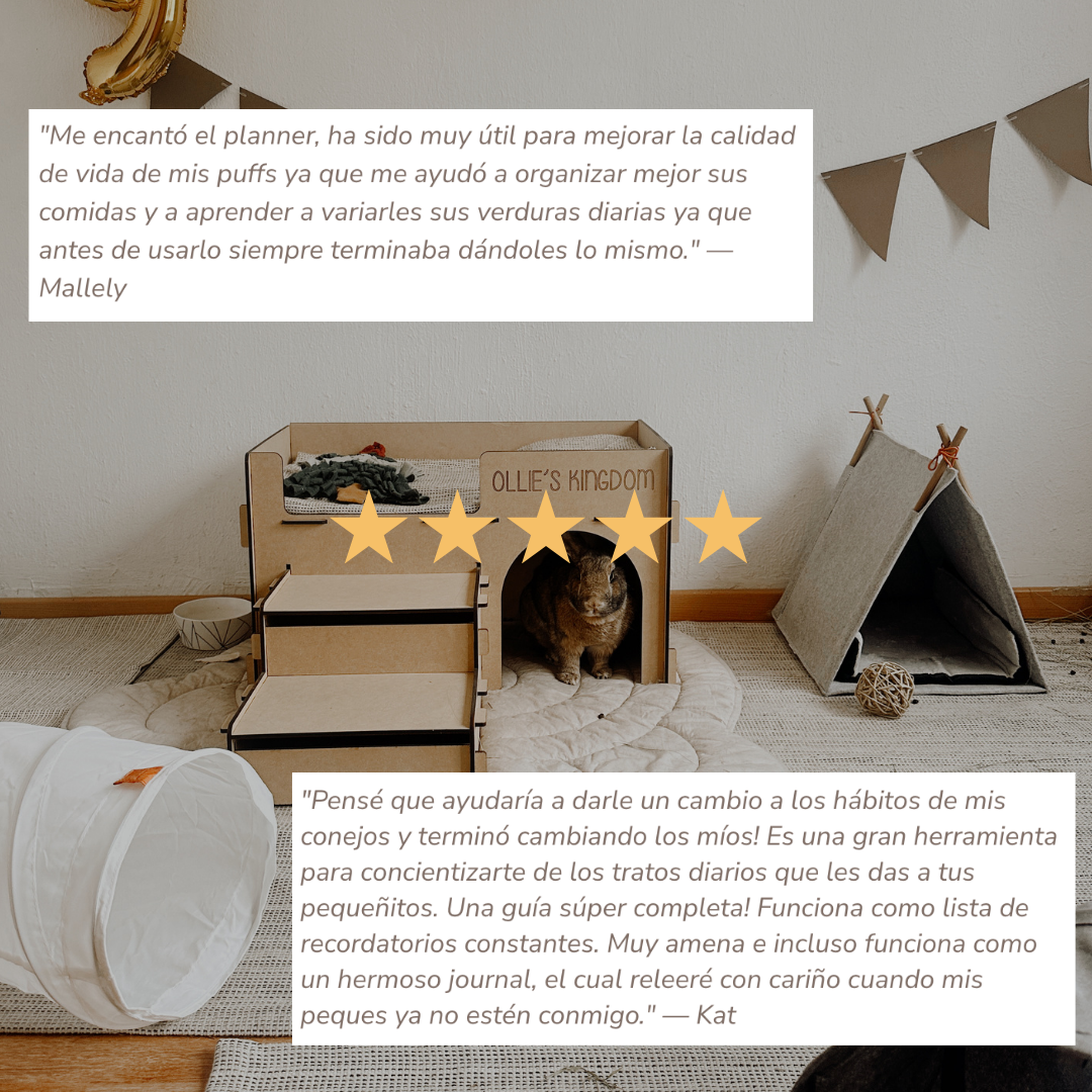 Planner de Cuidado Conejil