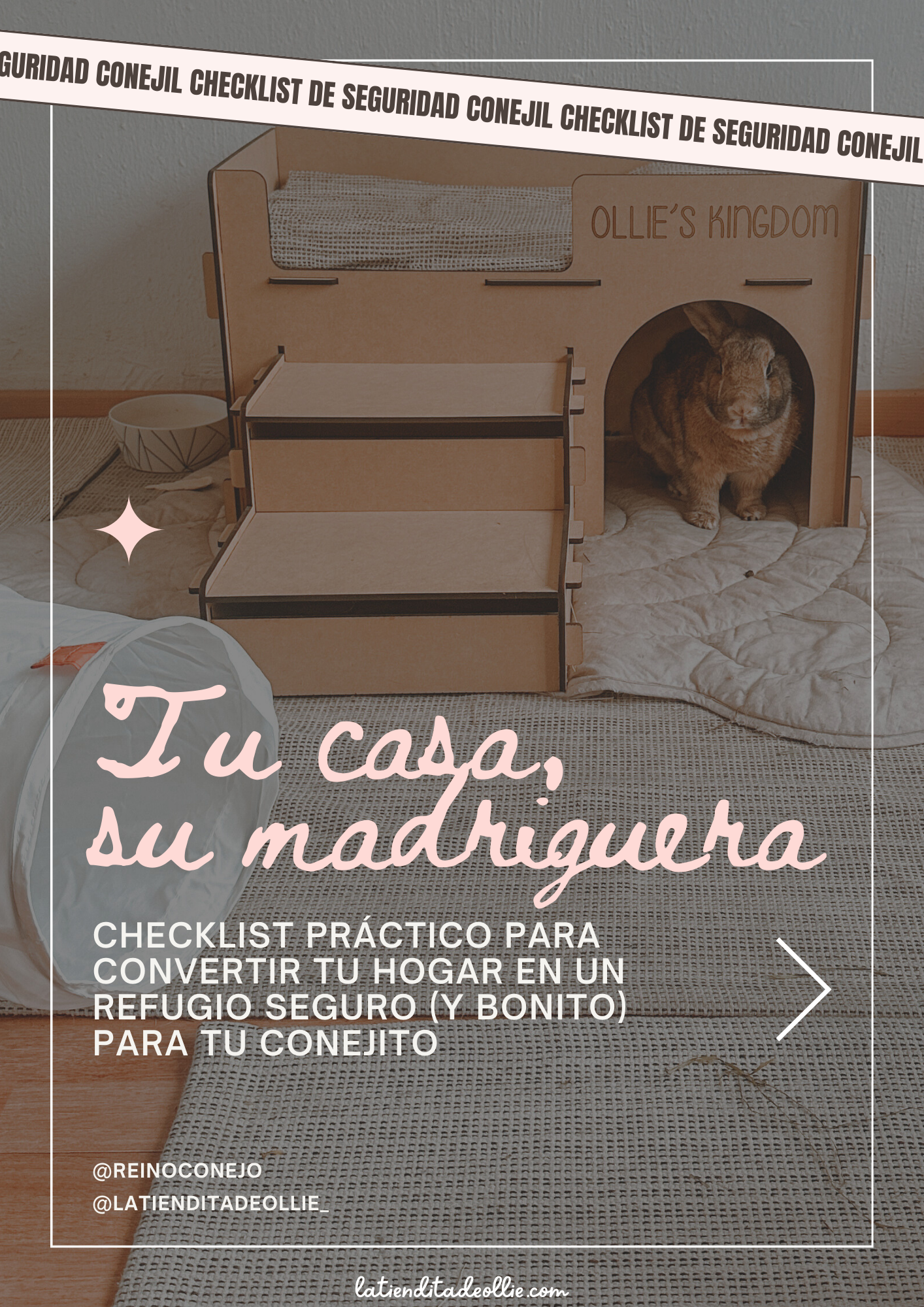 Tu casa, su madriguera: Checklist práctico para convertir tu hogar en un refugio seguro (y bonito) para tu conejito