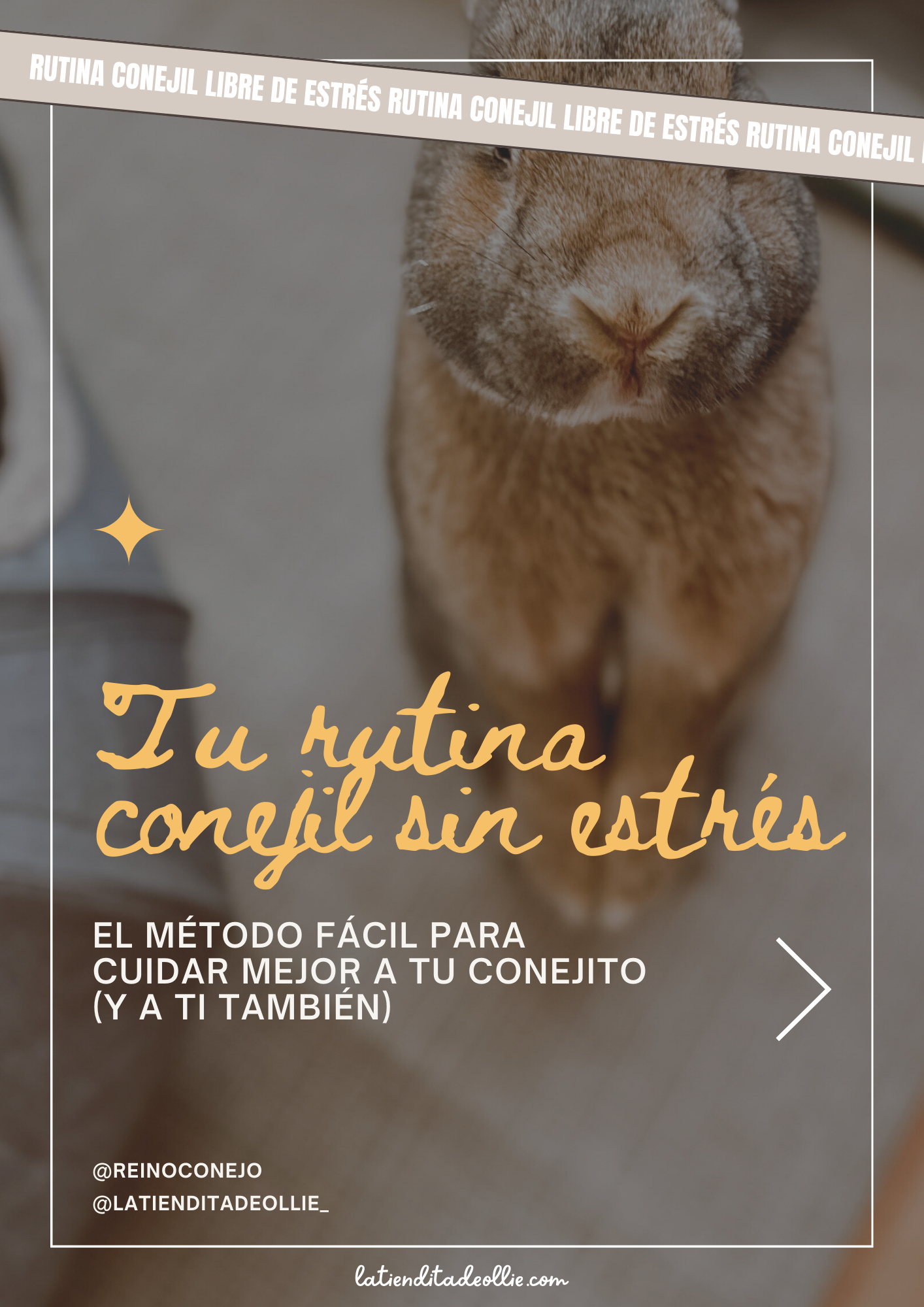Tu rutina conejil sin estrés: El método fácil para cuidar mejor a tu conejito (y a ti también)